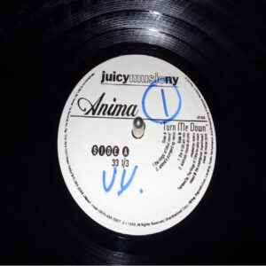 Anima (2) - Turn Me Down (12")