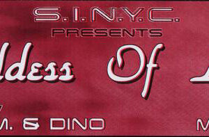 S.I.N.Y.C. - Goddess Of Love (12")