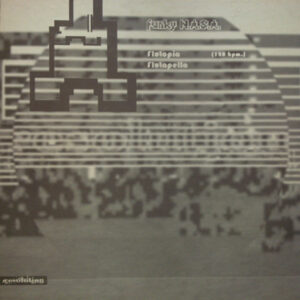 Funky N.A.S.A. - Flutopia (12")