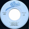 Joey Carbone & Richie Zito フェーチャリング Teri Desario - オーバーナイト・サクセス = Over Night Success (7") - 画像 (3)