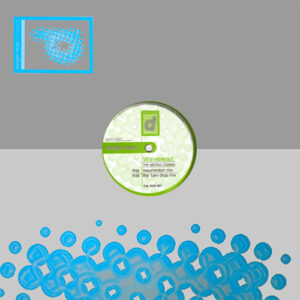 Wavehead - The Second Coming (12")