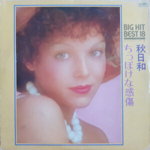 Various - 秋日和 / ちっぽけな感傷 Big Hit Best 18  (LP)