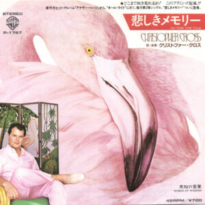Christopher Cross - No Time For Talk (7", Single)