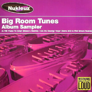 TM (2) / DJ Energy - Big Room Tunes Album Sampler (12", Smplr)