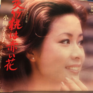 小柳ルミ子 - 夾竹桃は赤い花 (7")