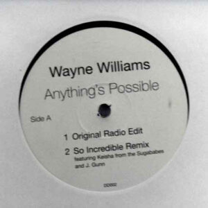 Wayne Williams (2) - Anything's Possible (12", Promo)