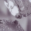 Lance Inc. - Cold As Ice (12") - 画像 (3)