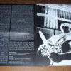 Disforterror - Impalement And Holocaust Stench (10") - 画像 (4)