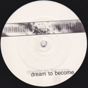 Palefield Mountain - Dream To Become (12")