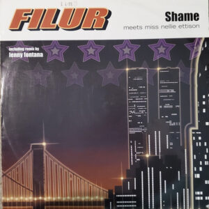 Filur Meets Nellie Ettison - Shame (12")