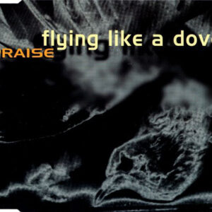 Praise (5) - Flying Like A Dove (CD, Maxi)