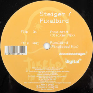 Steiger - Pixelbird (12")