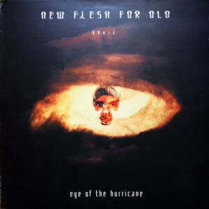 New Flesh For Old - Eye Of The Hurricane (12", Single)