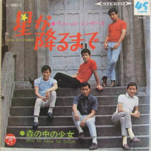 ヴィレッジ・シンガーズ - 星が降るまで (7", Single)
