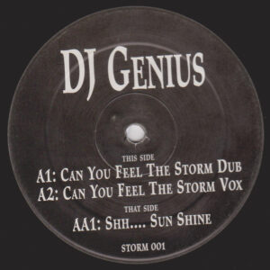 DJ Genius (2) - Can You Feel The Storm (12", Promo, Unofficial)