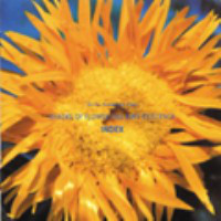 Various - Girls Ambient Pop "Shades Of Flower Has Airly Existence" (CD, Comp)