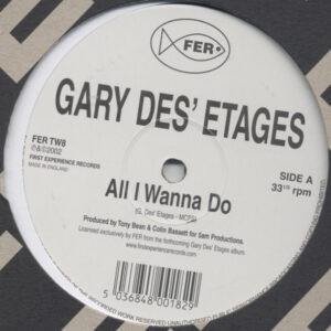 Gary Des'Etages - All I Wanna Do / Dance With Me (12")