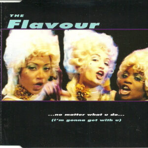 The Flavour - No Matter What U Do (I'm Gonna Get With U) (CD, Single)