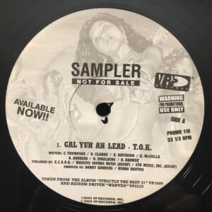 T.O.K. - Gal Yuh Ah Lead (12", Promo)
