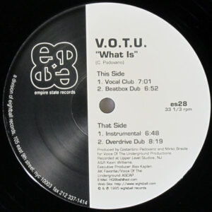 Voice Of The Underground - What Is (12")