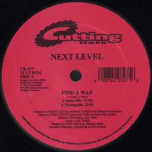Next Level  - Find A Way (12")