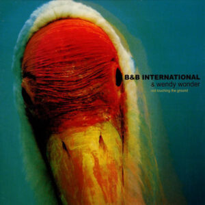 B & B International & Wendy Wonder - Not Touching The Ground (12")