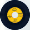 Various - Kungsleden = 太陽のかけら (7") - 画像 (5)