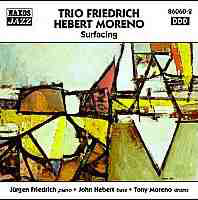 Trio Friedrich Hebert Moreno - Surfacing (CD, Album)