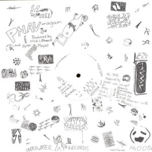 Pnau - Again (12")