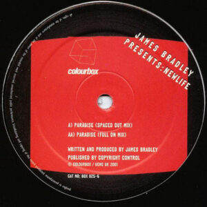 James Bradley Presents Newlife - Paradise (12")