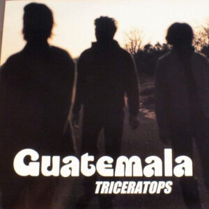 Triceratops (3) - Guatemala (10")