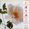 Southern All Stars = サザンオールスターズ - 綺麗 = Kirei (LP, Album) - 画像 (2)