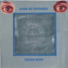 Uriah Heep - Look At Yourself (LP, Album) - 画像 (2)