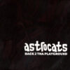 Astrocats - Back 2 Tha Playground (12")