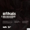 Astrocats - Back 2 Tha Playground (12") - 画像 (2)