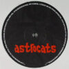 Astrocats - Back 2 Tha Playground (12") - 画像 (3)