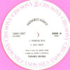 白井貴子&THE CRAZY BOYS - Princess Night (12", EP, cle) - 画像 (3)