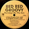 Red Red Groovy - Burning Like The Sun (12", Promo) - 画像 (2)
