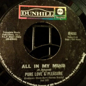 Pure Love And Pleasure - All In My Mind (7", Single)