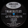Shah Bailey - Lick (12") - 画像 (2)