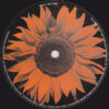 Prophets Of Sound - High E.P (12", EP) - 画像 (3)