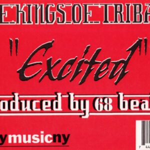 The Kings Of Tribal - Excited (12")