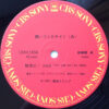 爆風スランプ - 無理だ! 決定盤 = You Can't Do That (12", Single) - 画像 (3)