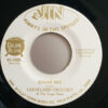 Al Ferrier, Cleveland Crochet And The Sugar Bees - I'll Try One More Time / Sugar Bee (7", Single, Mixed) - 画像 (2)