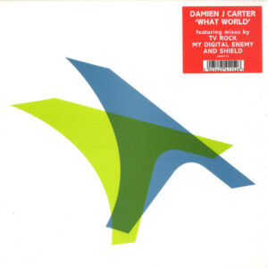 Damien J. Carter - What World (12")