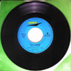 チューリップ - Blue Sky (7", Single) - 画像 (4)