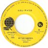 Banzaii - Viva America (7") - 画像 (4)