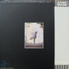長渕剛 - 風は南から (LP, Album) - 画像 (2)