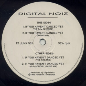 Digital Noiz - If You Haven't Danced Yet (12")