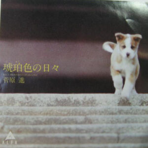 Susumu Sugawara - 琥珀色の日々 (7", Single)